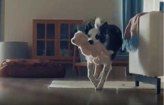 Bosch Reklamına Kastamonu’dan Tepki (2)