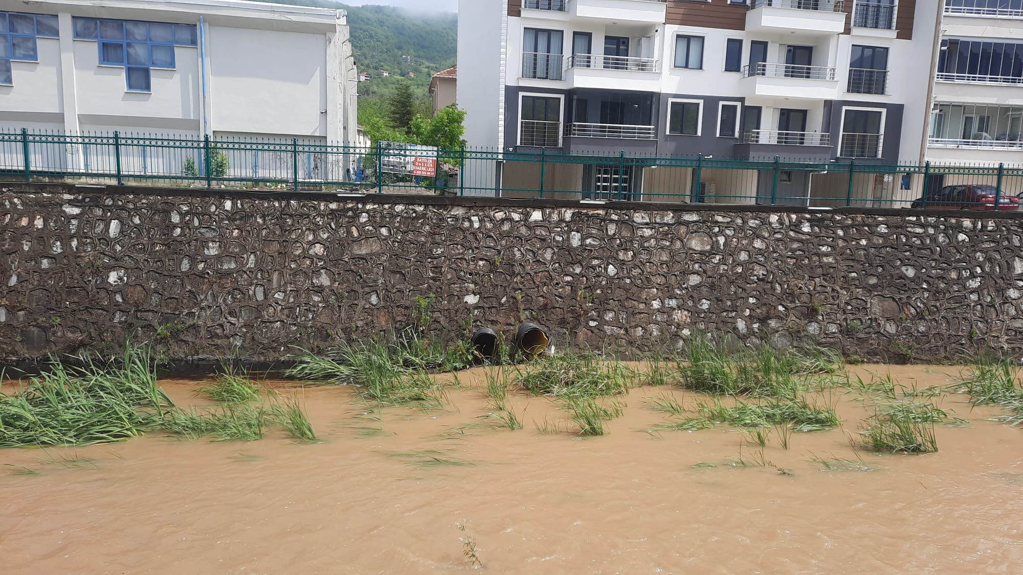 Cide Deresine Kimyasal Atık Verildi