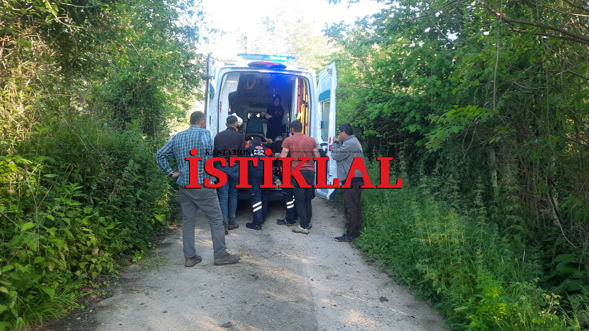 Cide’de Bal Arısı Hastanelik Etti (1)-2