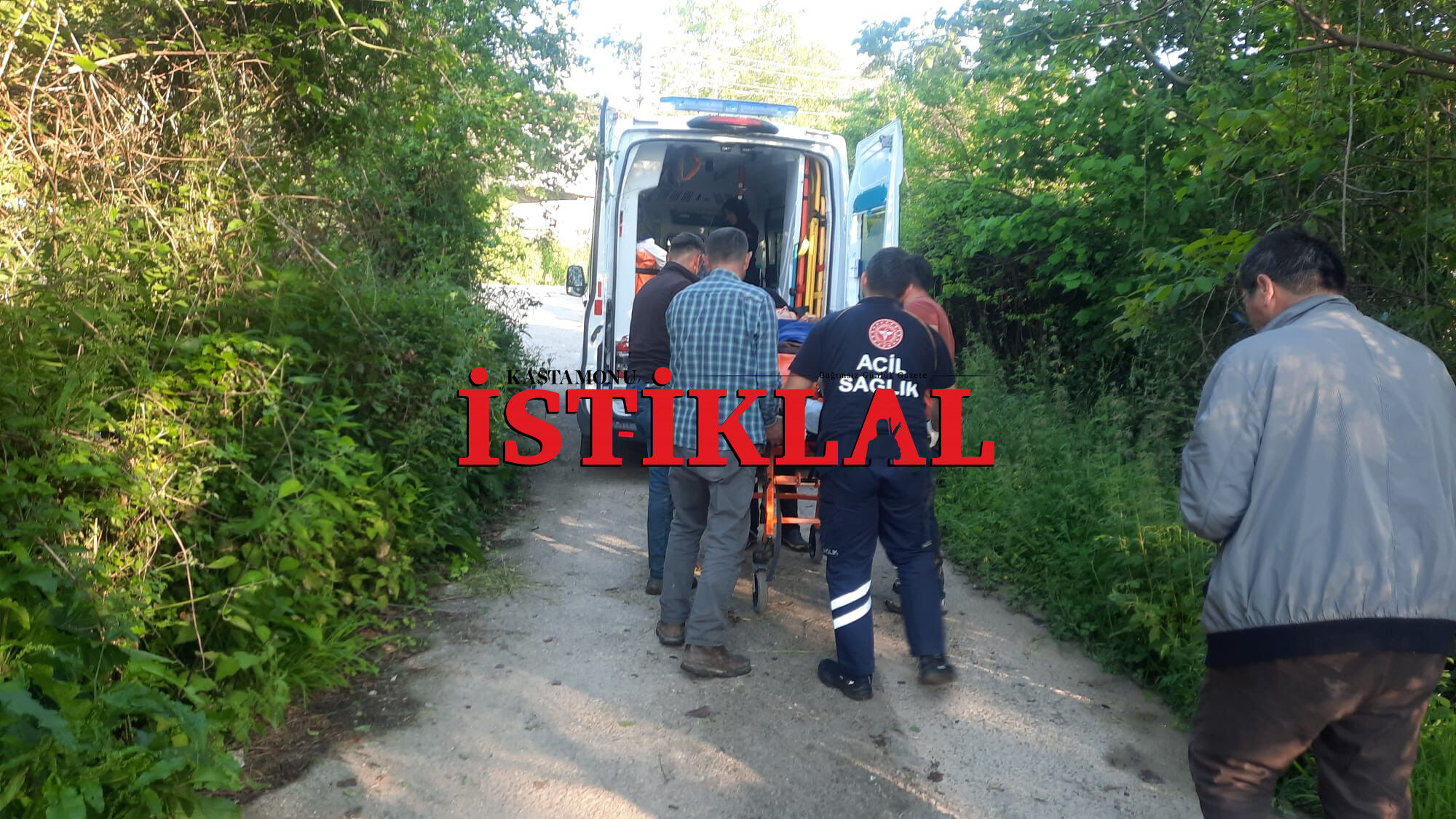 Cide’de Bal Arısı Hastanelik Etti (2)-2