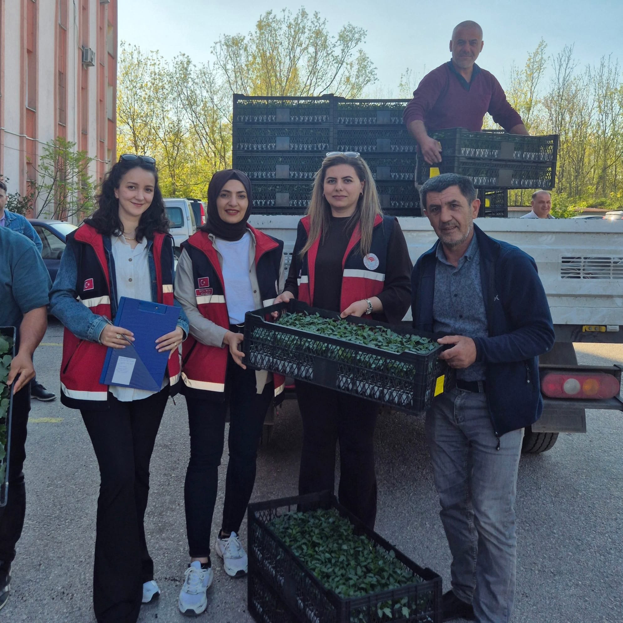 Cide'de Fide Dagıtıldı (3)