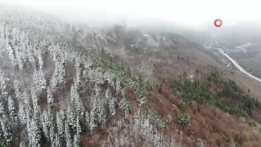 Kar Beyazı Cicekler Kastamonu