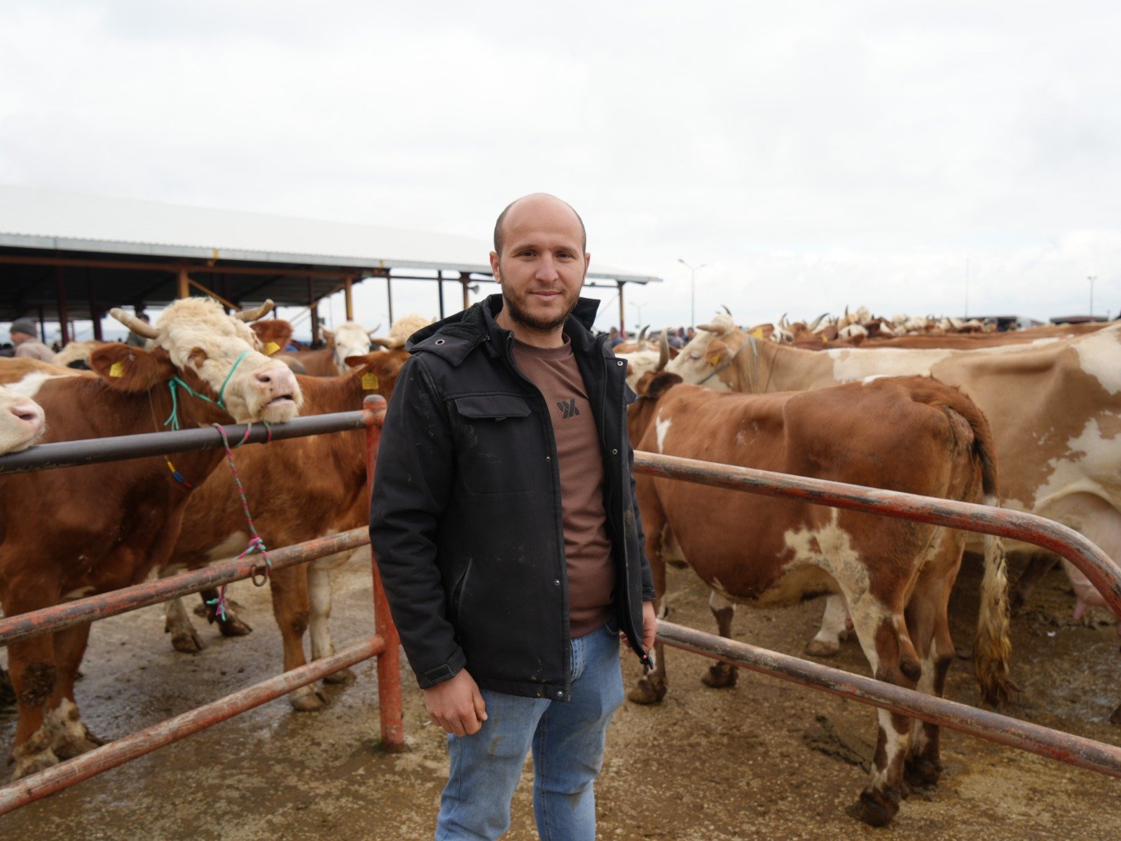 Kastamonu’da 850 Kiloluk Tosun 340 Bin Tl’ye Satıldı (1)