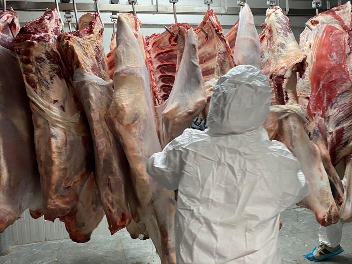 Kastamonu'da Kurban Bayramı Öncesinde Gıda Denetimleri Artırıldı (7)
