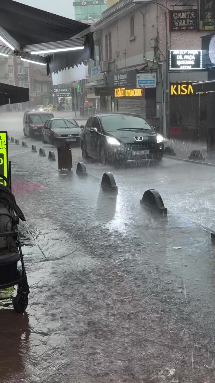 Kastamonu’ya Bir Alamet Geldi! (1)