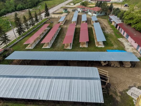 Taskopru Hayvan Pazarında Baskan Talepleri Yerine Getirdi (1)