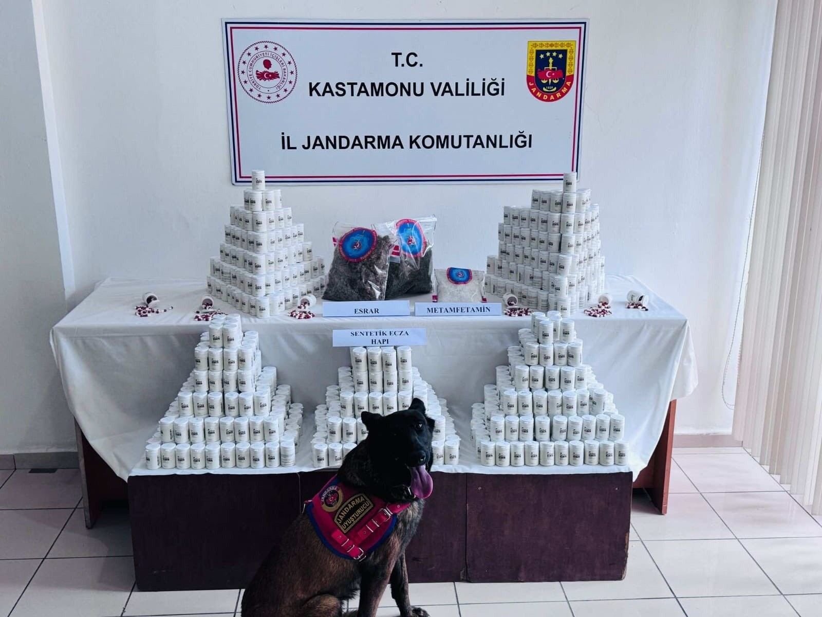 Kastamonu’da binlerce hapla yakalanan sanık: 