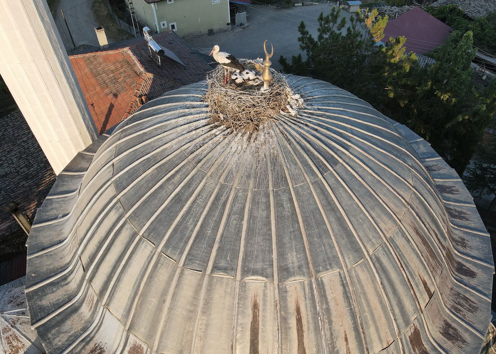 Cebrail Keles Tosya Leylek Kastamonu Istiklal Kose Yazisi (1)