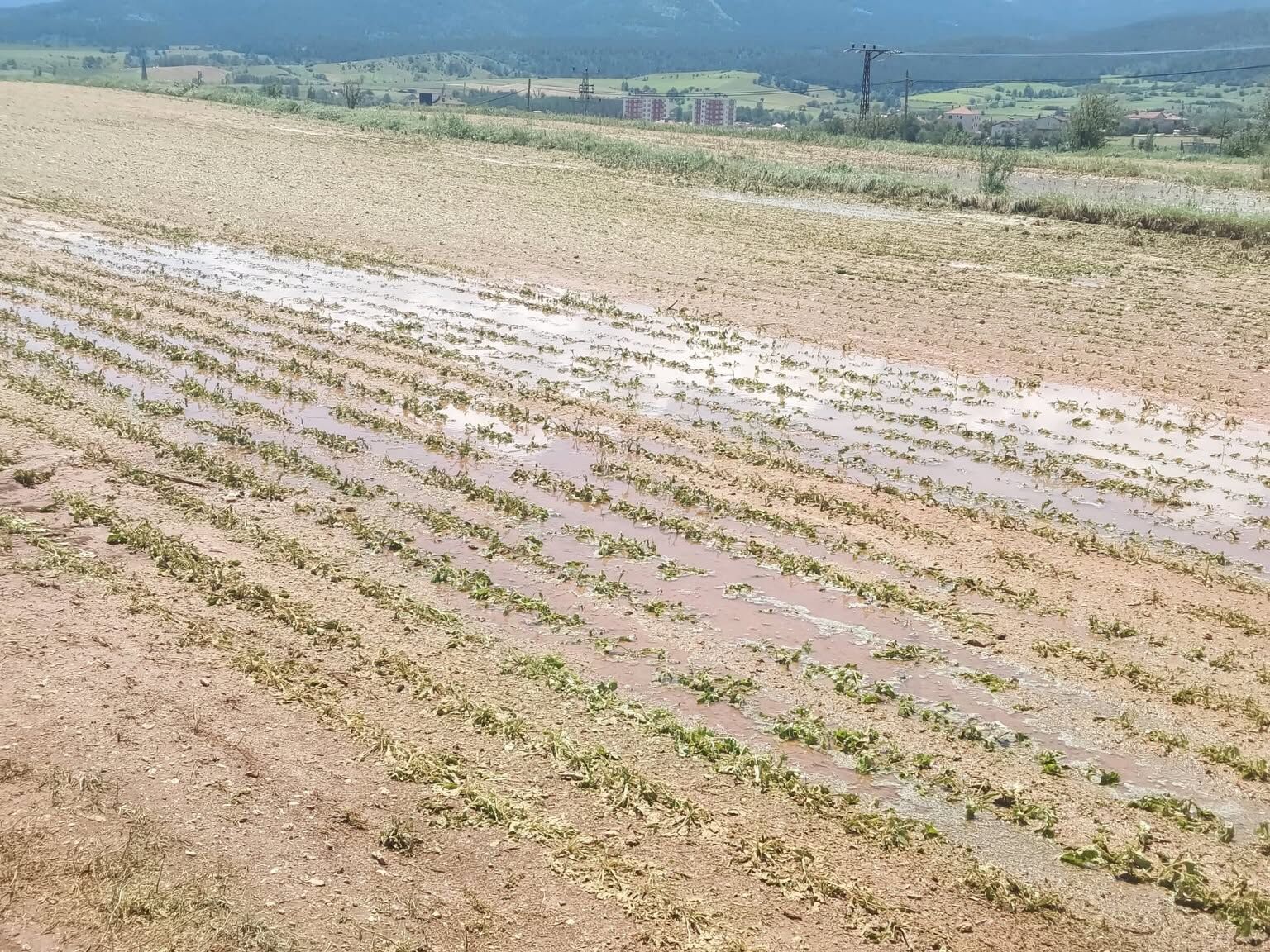 Daday’da Afetin Bilançosu Çıkarılıyor (2)
