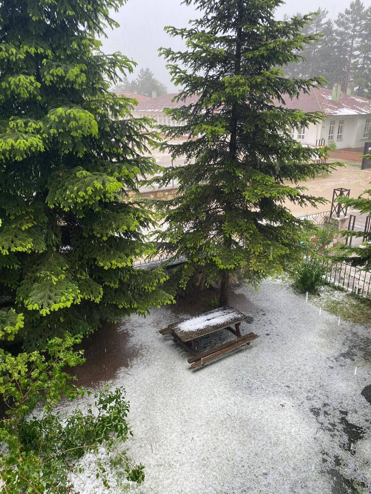 Dadayda Dolu Ve Saganak Etkili Oldu (2)
