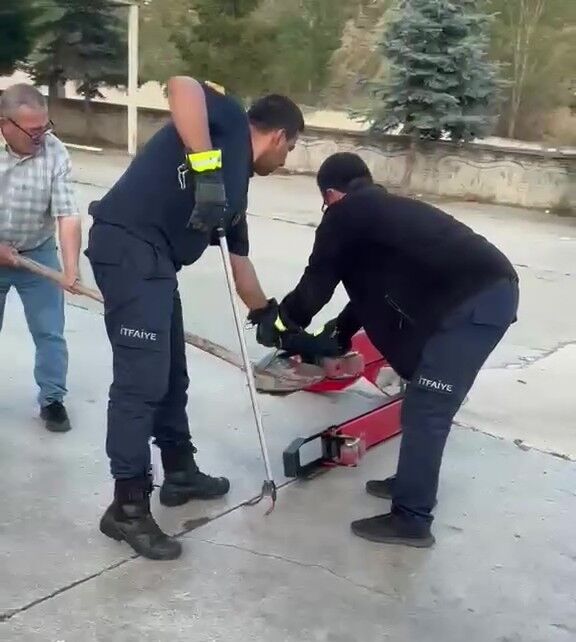 Fabrikada Yılan Paniği (1)