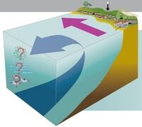 İnebolu Kıyılarında 'Upwelling' Şoku Çok Soğuk! (1)