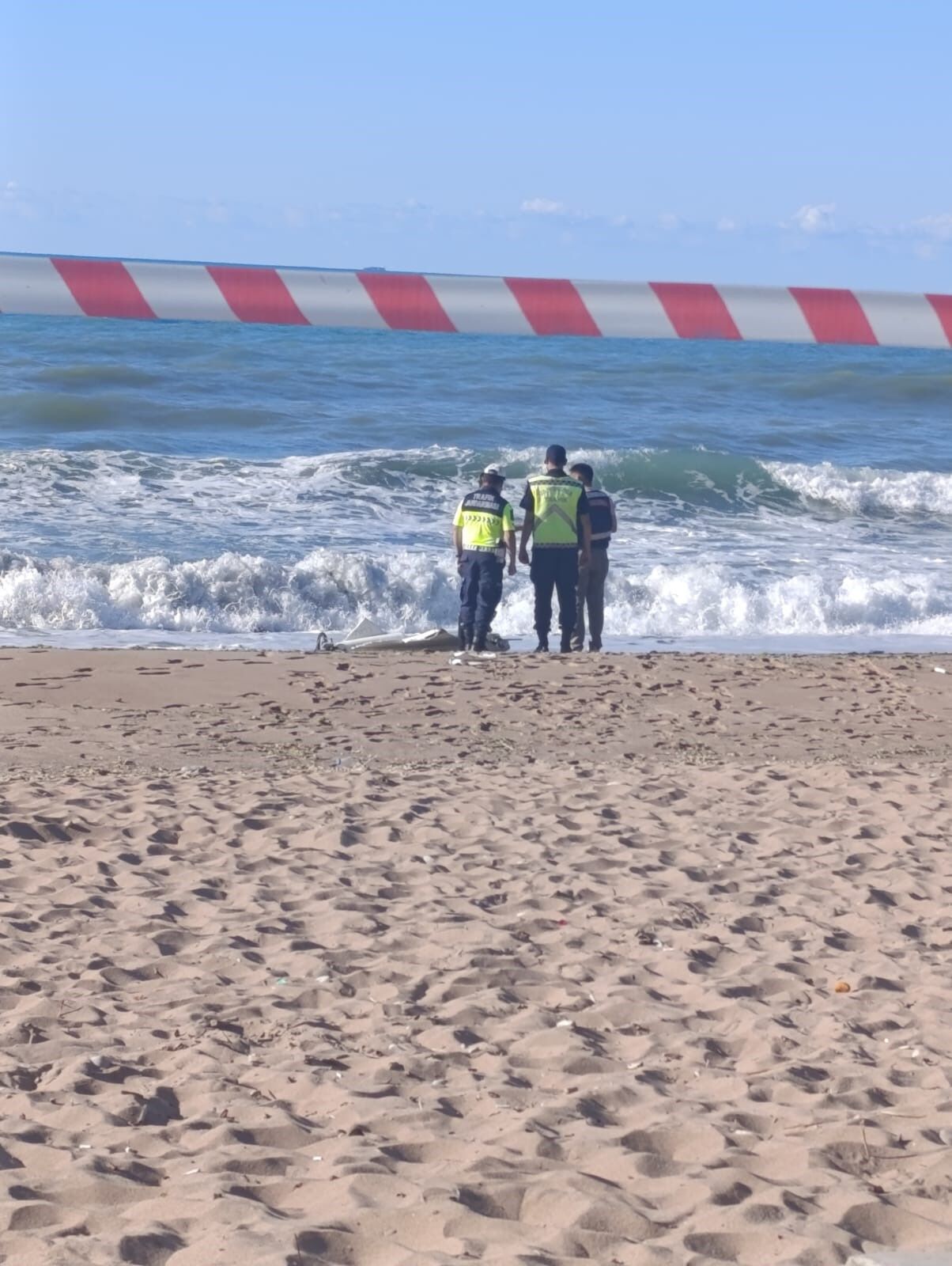 Karadeniz Sahilinde Beklenmedik Misafir Bölge Alarmda (5)