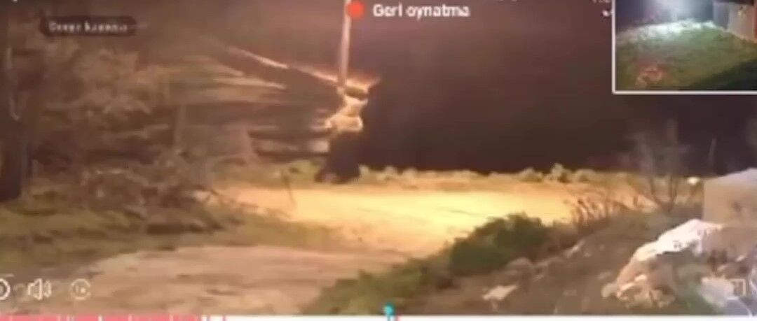 Kastamonu'da Koca Oğlan Kaşıntısını Böyle Giderdi!-1
