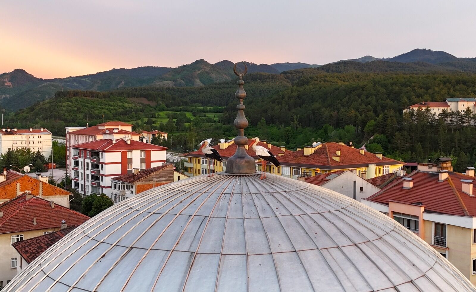 Kastamonu'da Leyleklerin Büyüleyen Gün Batımı Anları (2)