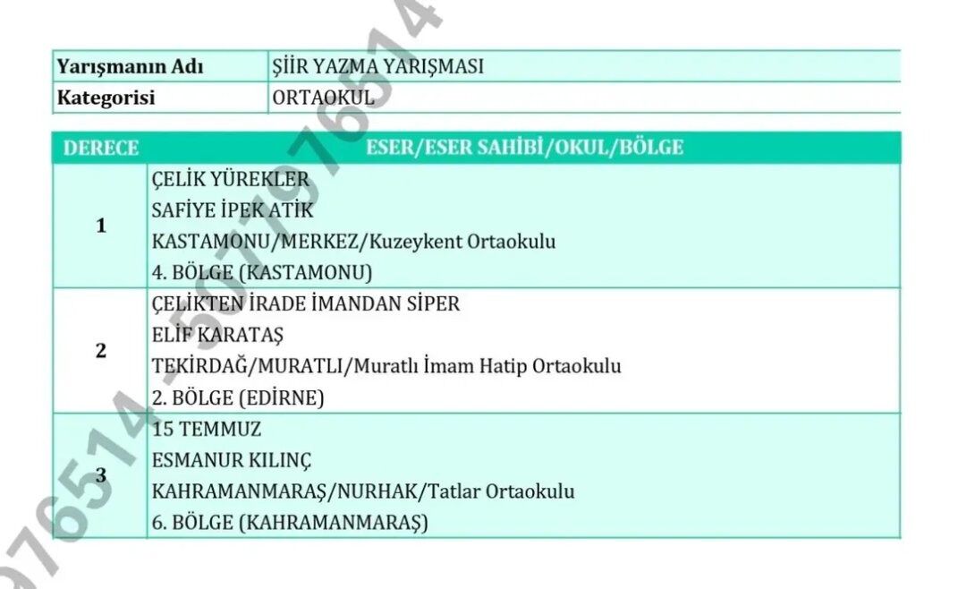 Kastamonu'lu Öğrenciden Türkiye Birinciliği (2)