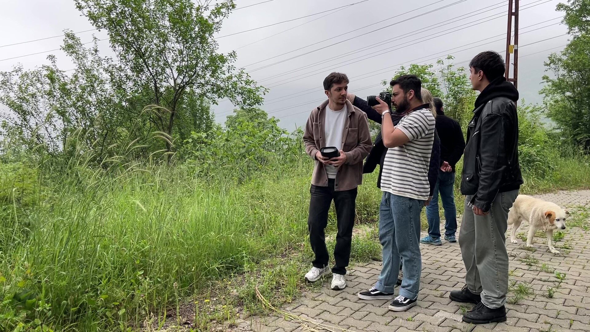 Kastamonu'nun Ortaköy'ünden Çıktı Ayı Çatışmasını Bitirecek Proje! (1)