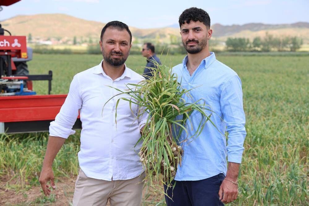 Taşköprü Sarımsağına Ciddi Rakip Beyaz Altına Avrupalı Tehdit! 1