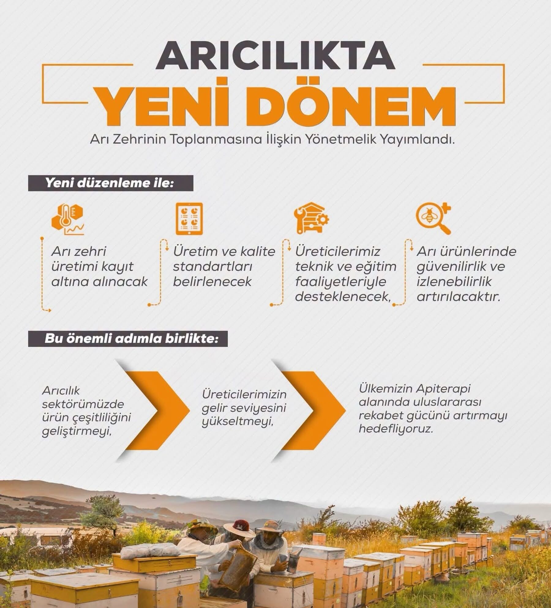 Arıcılıkta Yeni Dönem Arı Zehri Yönetmeliği Yürürlükte