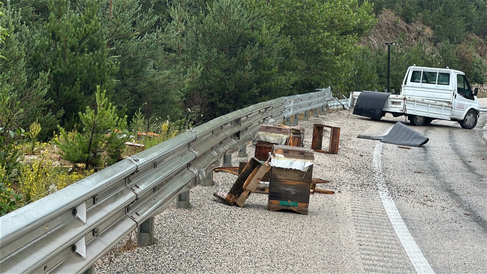 Bariyerlere Carptı Arılar Telef Oldu (1)