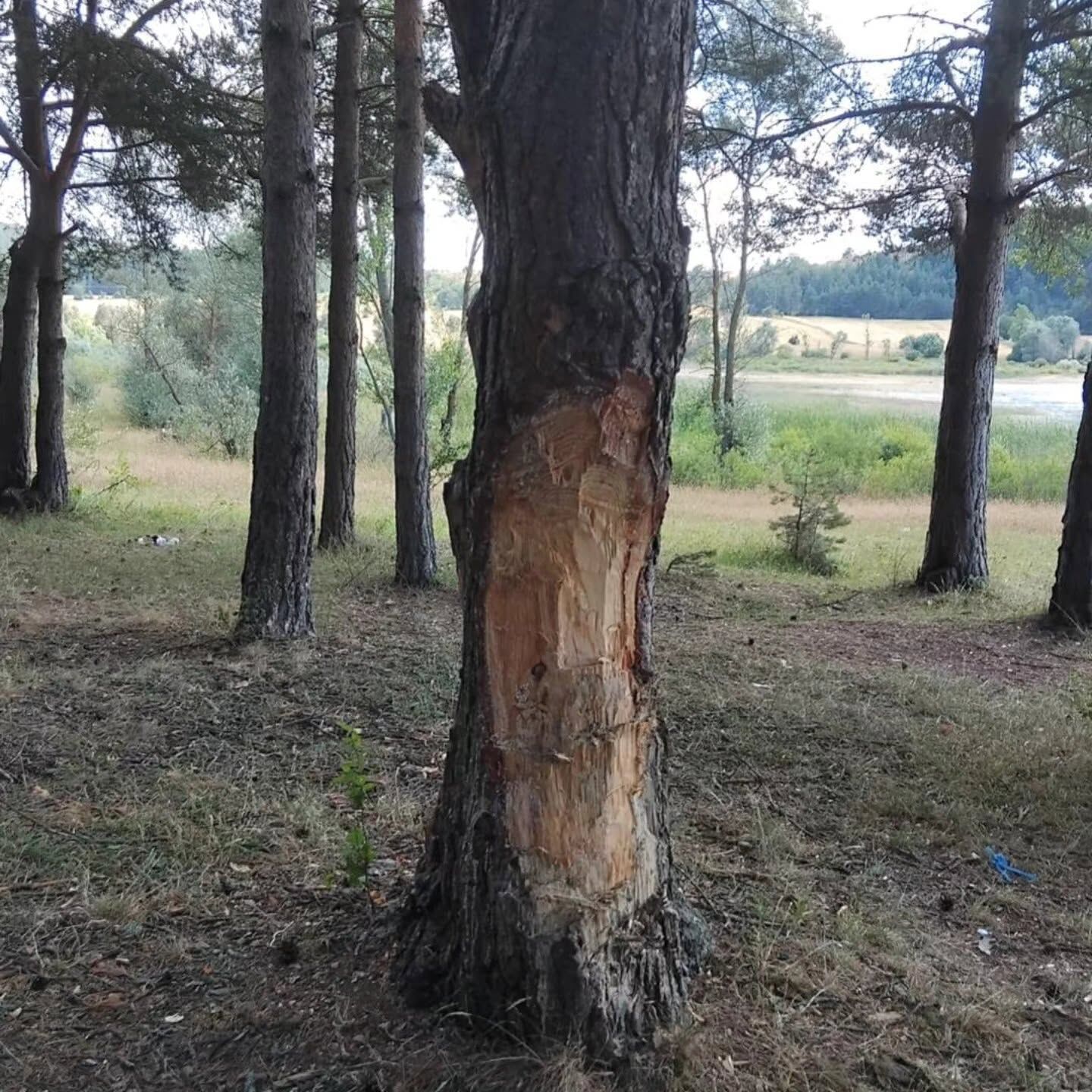 Beyler Barajından Uzen Goruntuler (2)
