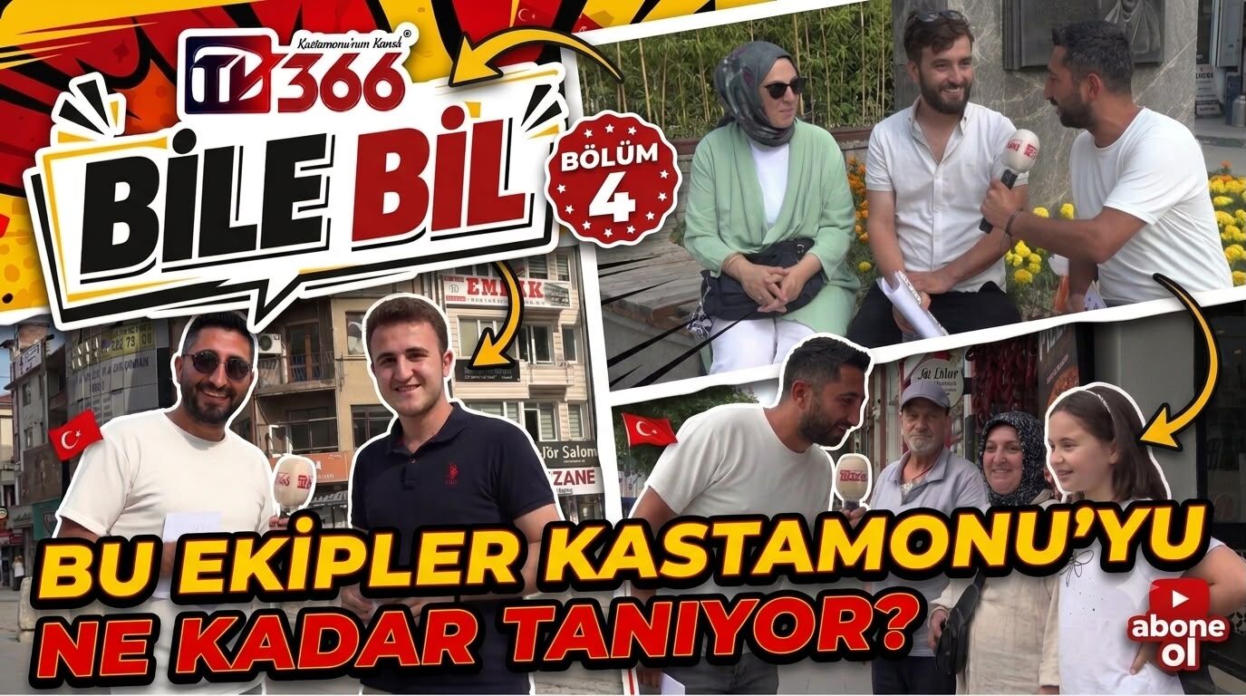 TV366
