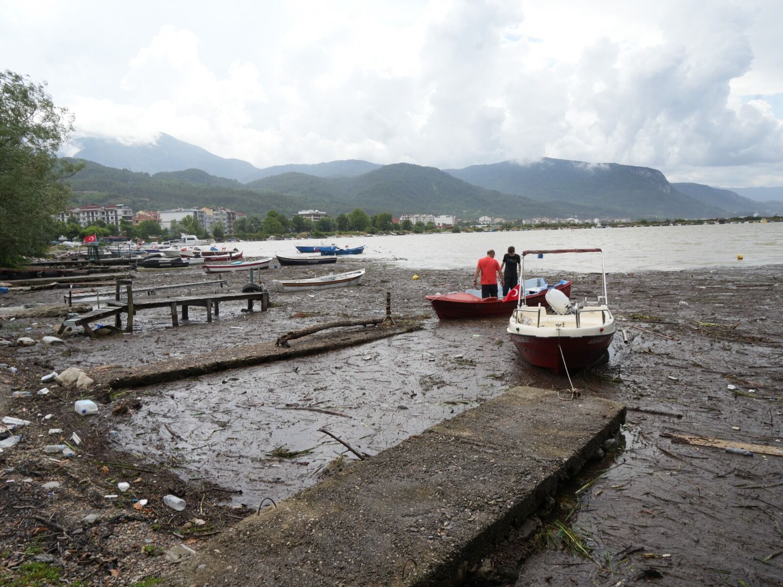 Cide'de Sel Felaketi Denize Yansıdı Liman Odun Yığınlarıyla Doldu (3)