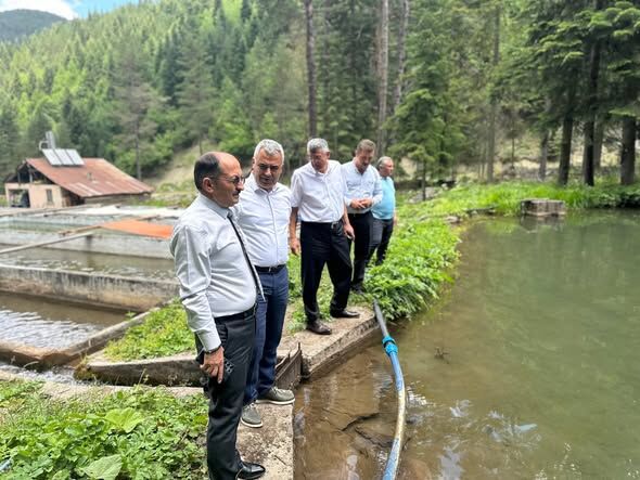 Kastamonu Alabalık Tesisleri Incelendi (2)