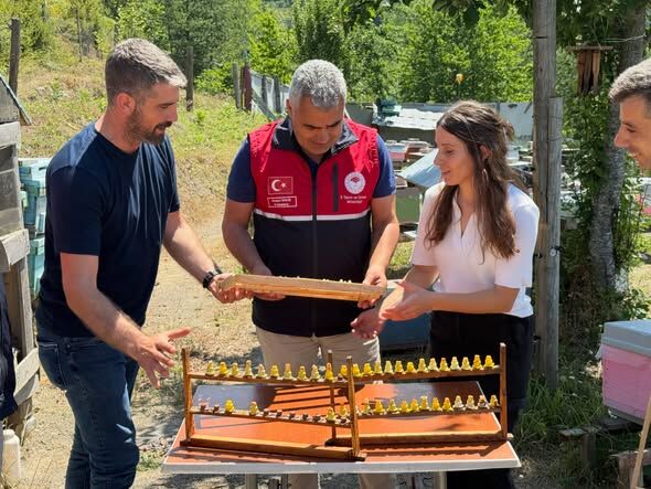 Kastamonu Arı Sutu Uretimi Meyvelerini Vermeye Basladi (1)