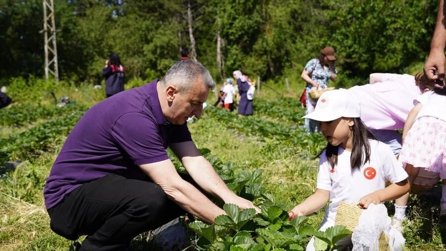 Kastamonu'da 1 Dekarlık Umut, 6 Dekarlık Bahçeye Dönüştü (1)