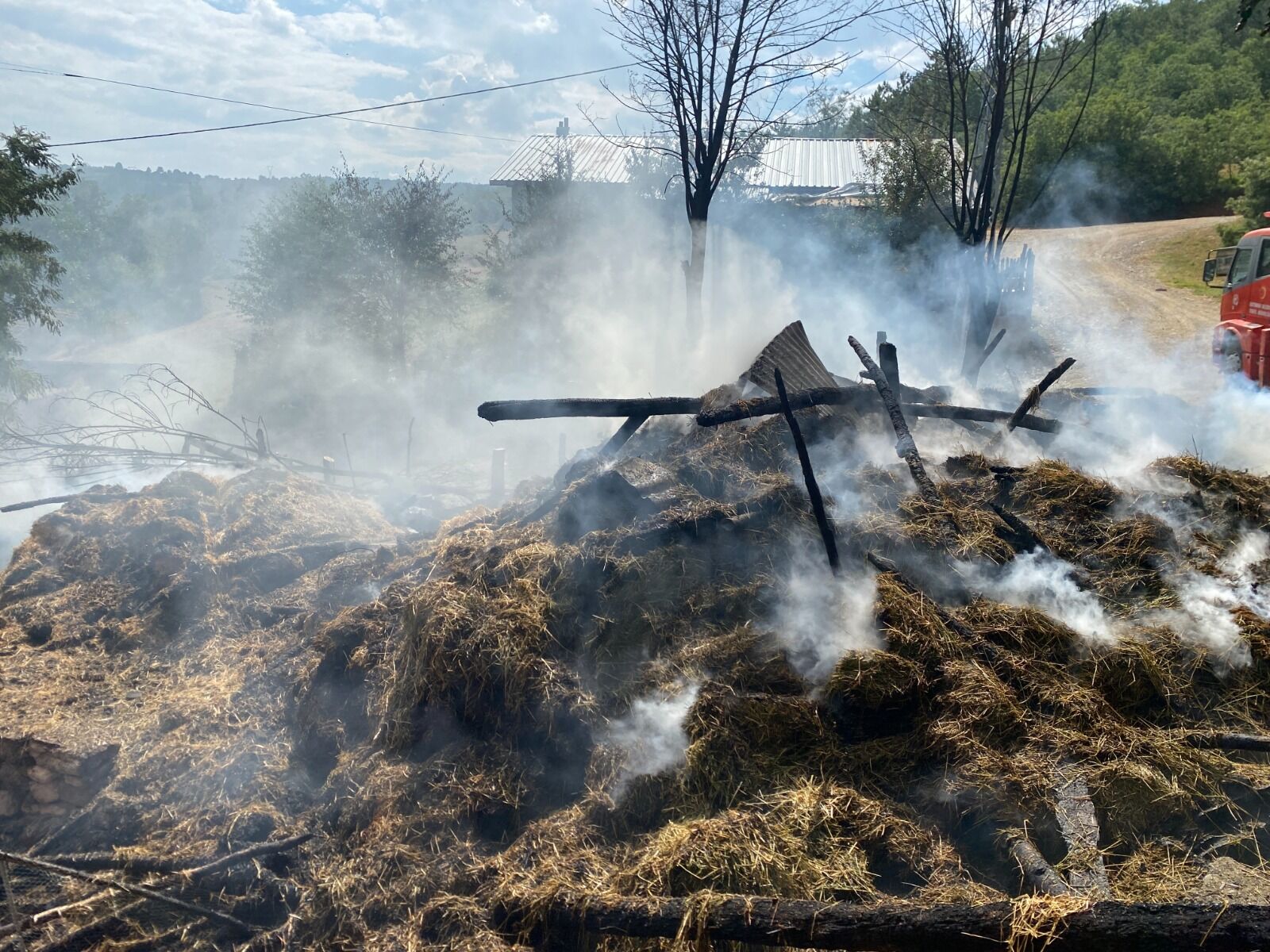 Kastamonu'da 800 Balya Kule Dondu (1)