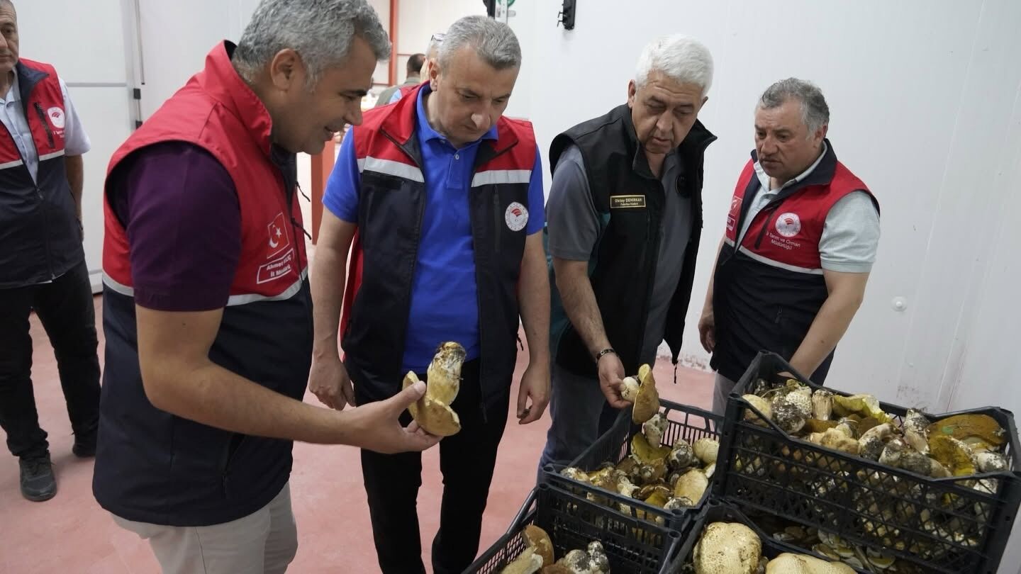 Kastamonu’da Modern Işleme Tesisine Teknik Inceleme (3)
