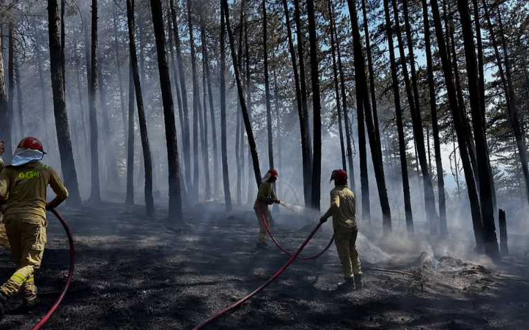 Kastamonu'da Orman Yangını Ekiplerden Hızlı Müdahale! (1)
