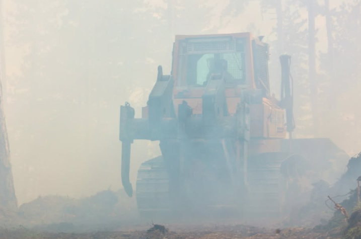 Kastamonu'da Orman Yangını Ekiplerden Hızlı Müdahale! (3)
