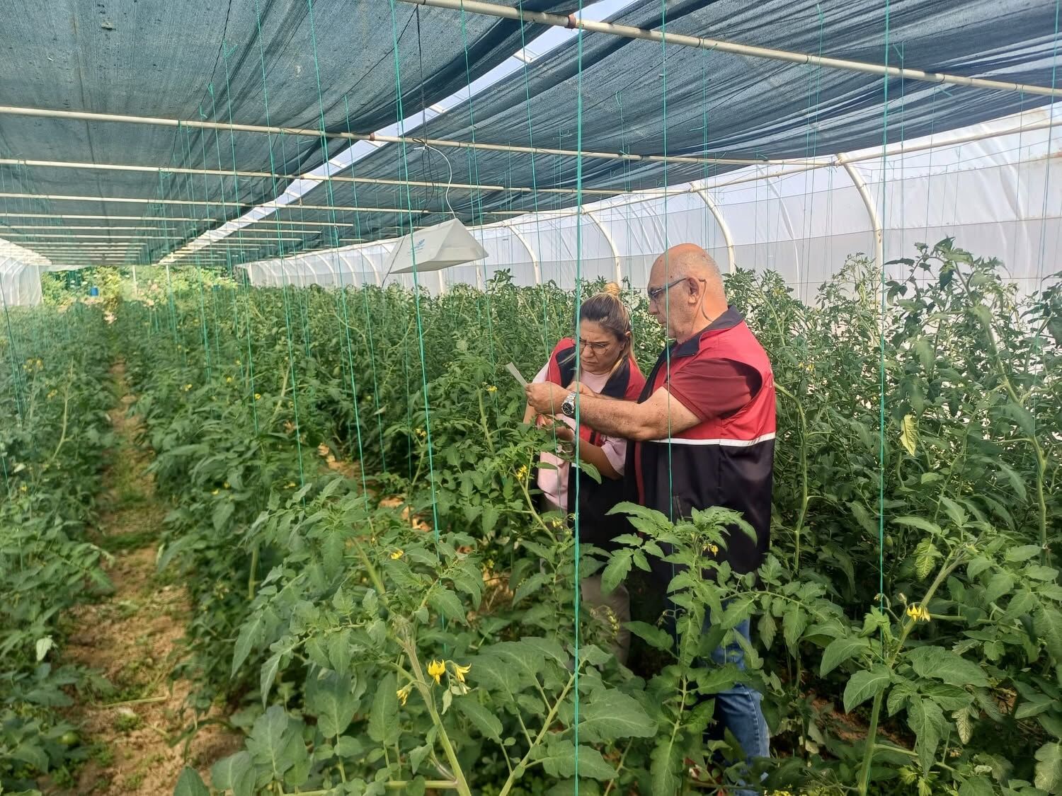 Kastamonu'da Ureticilere Zararlılarla Mucadele Anlatıldı (2)