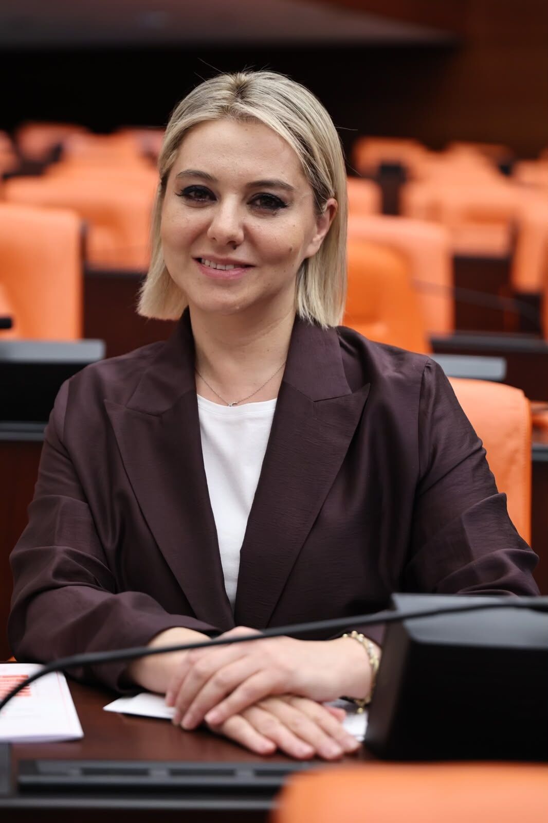 Tbmm'in Gündemi Cide Oldu (2)