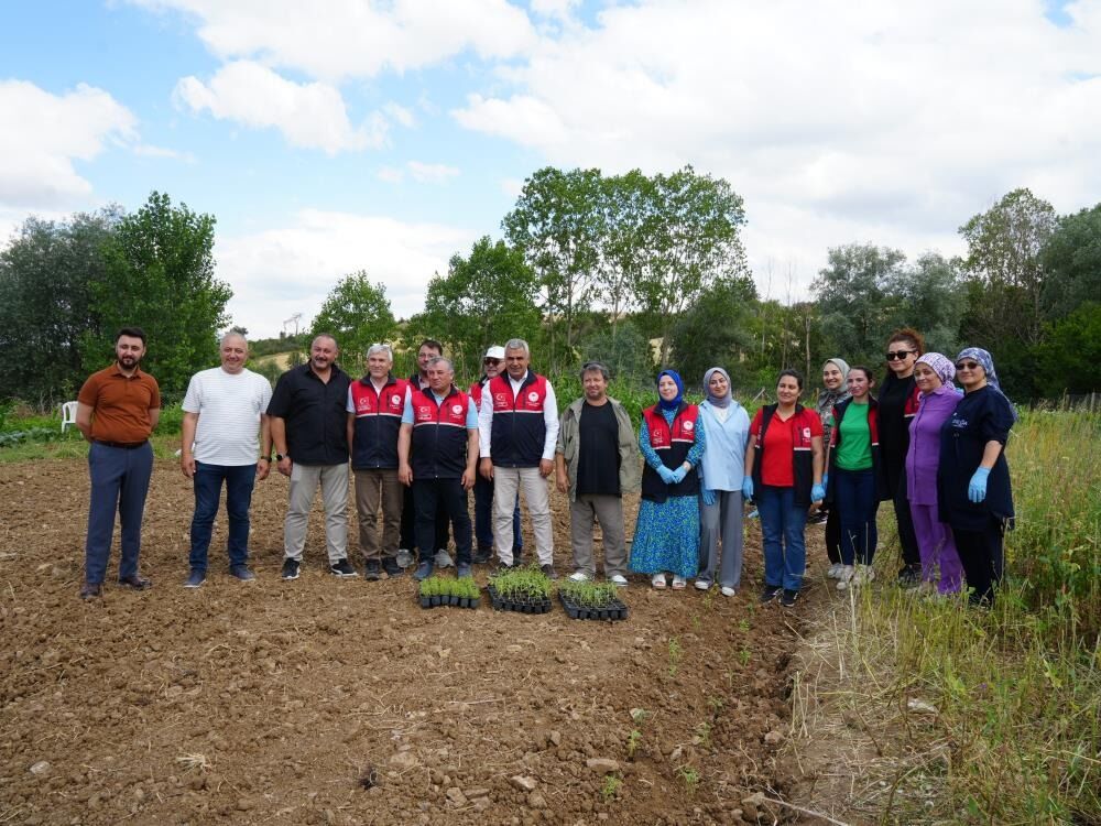 Üniversite Serasında Üretiliyor Çiftçilerin Geliri Aromatik Bitkilerle Artacak 4