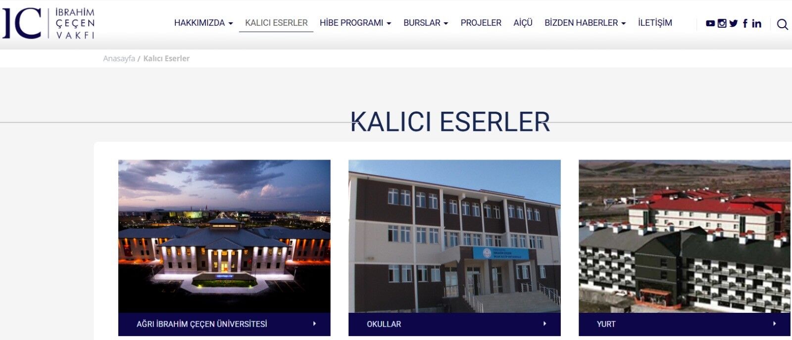 Ağrılıdan Misal Ala Kastamonulu (2)