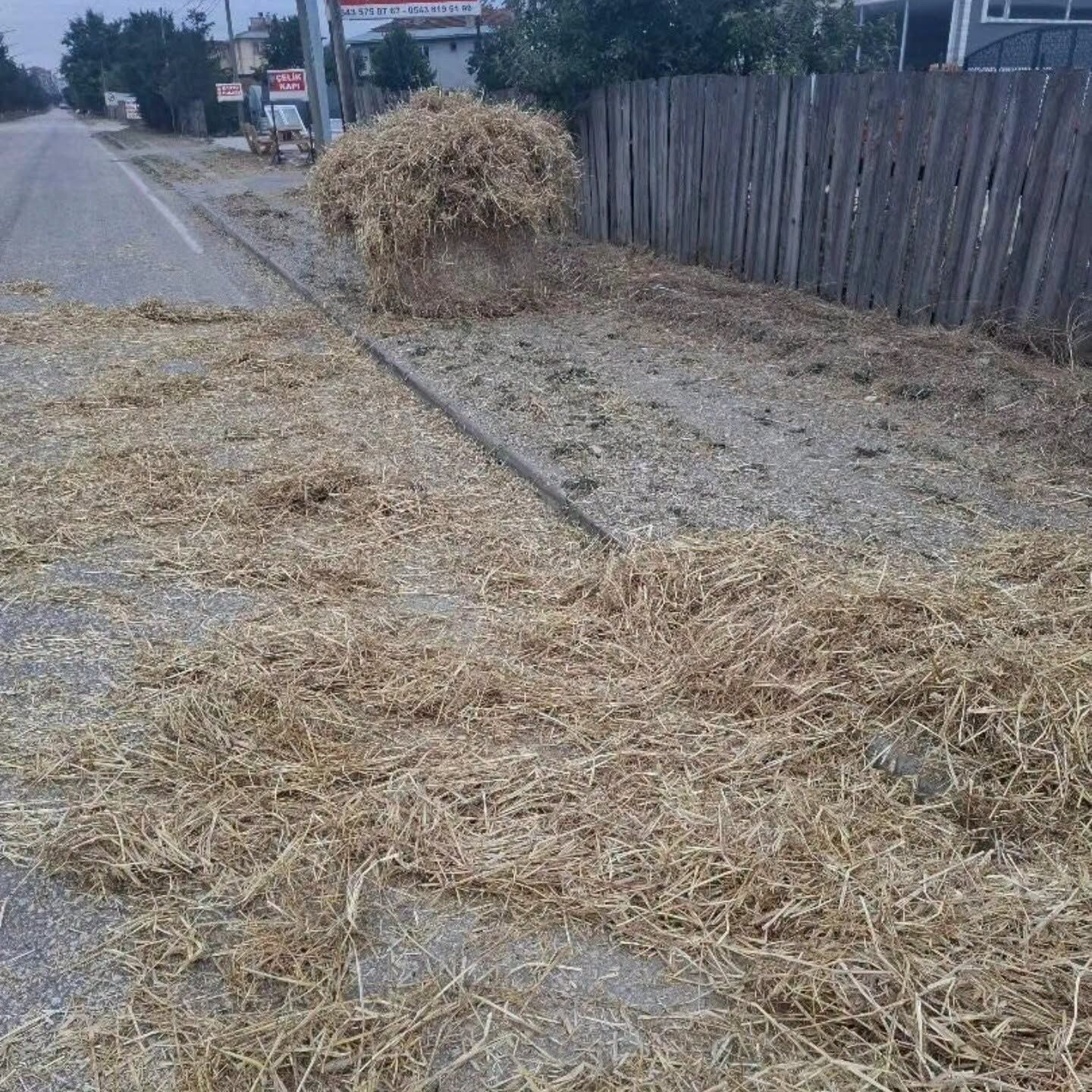 Balyalar “Yük” Olmaktan Çıktı, Tehlikeye Dönüştü