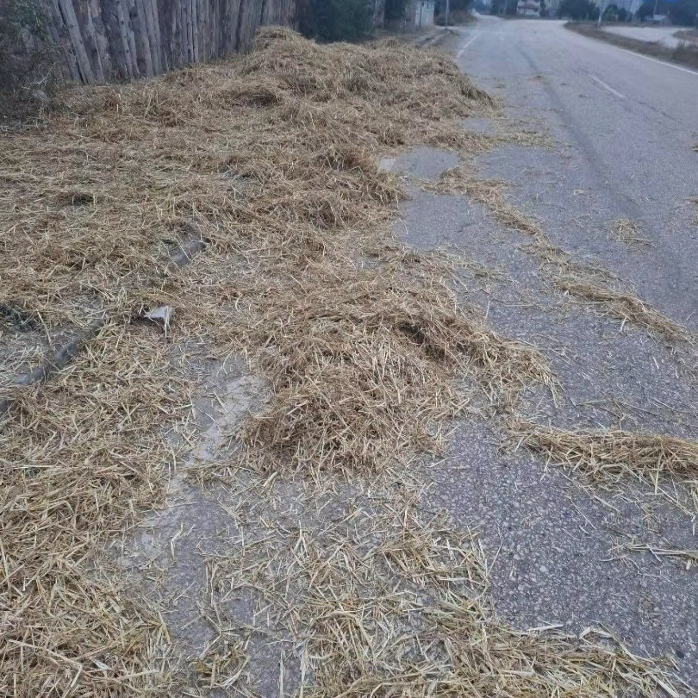 Balyalar “Yük” Olmaktan Çıktı, Tehlikeye Dönüştü1