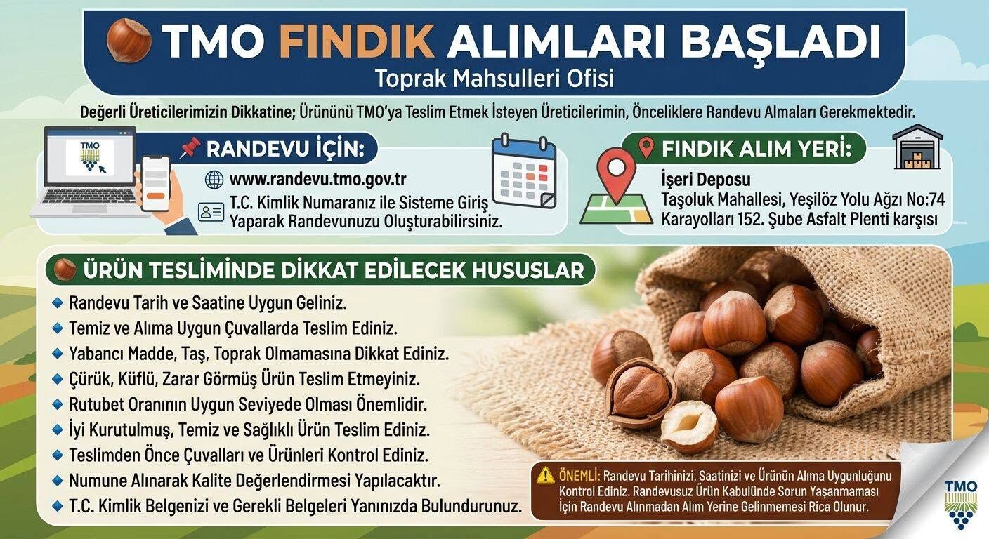 Fındık Üreticilerine Tmo’dan Randevu Uyarısı