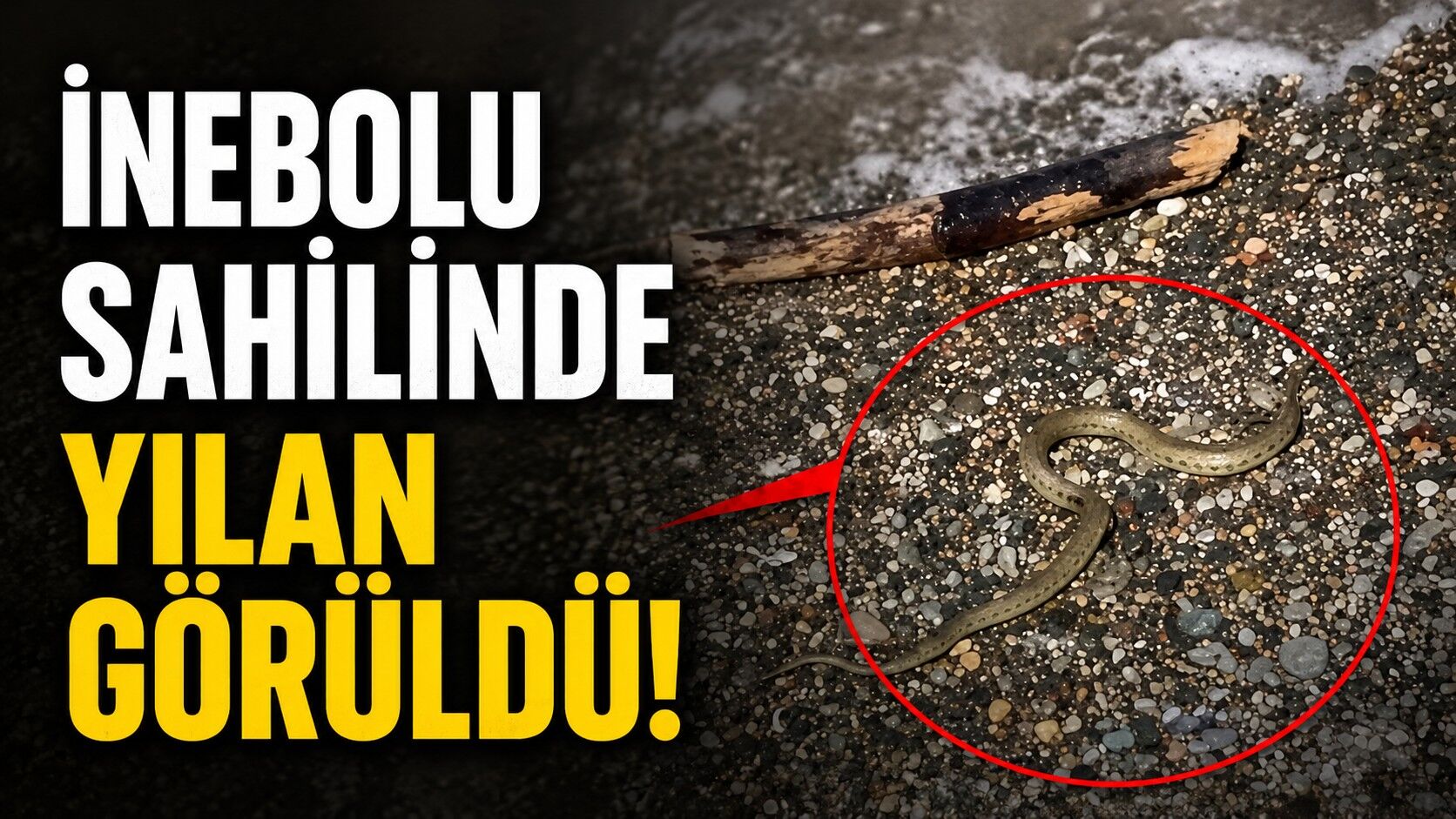 İlçeler