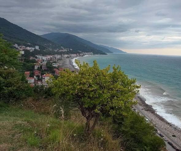 İnebolu’da Heyelanlı Alan Için Afad Sahaya Indi (2)