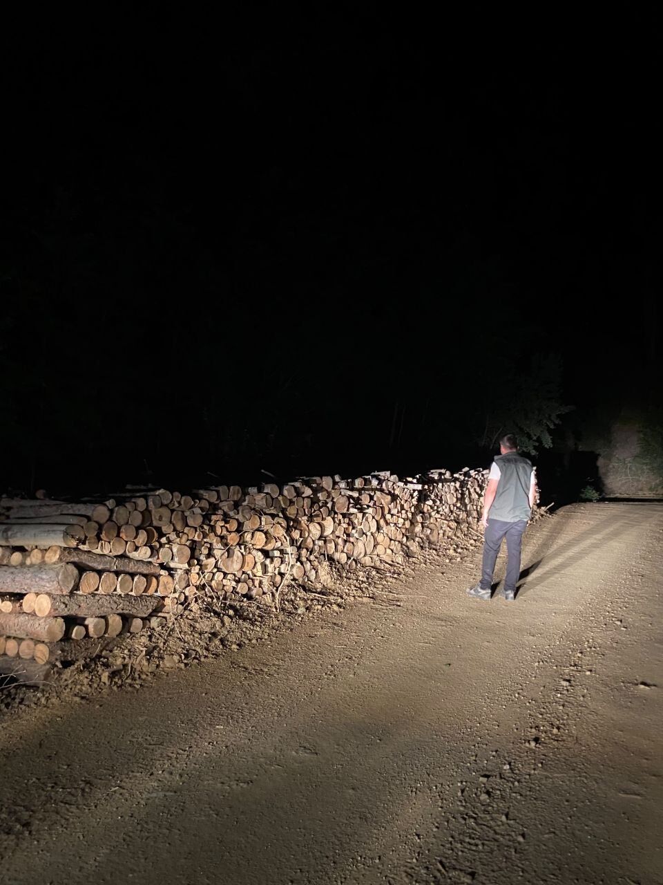Kastamonu Ormanlarında Gece Gündüz Denetim Sürüyor (2)