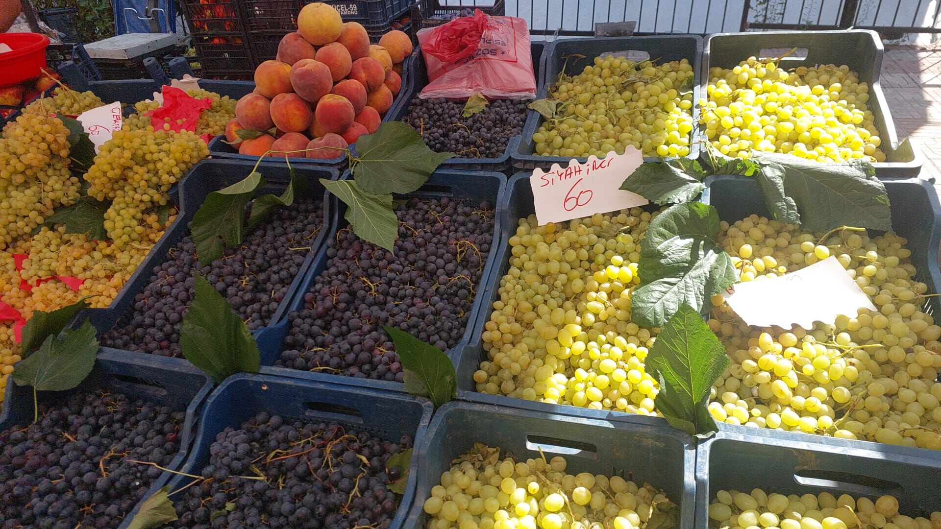 Kastamonu Salı Pazarı’ndaki Bolluk, Fiyatlara Yansıdı (5)
