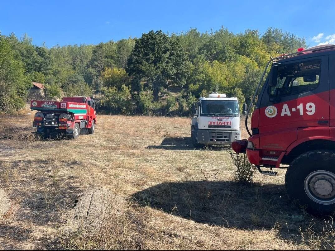 Kastamonu'da Çıkan Anız Yangınına Ekiplerden Hızlı Müdahale (2)