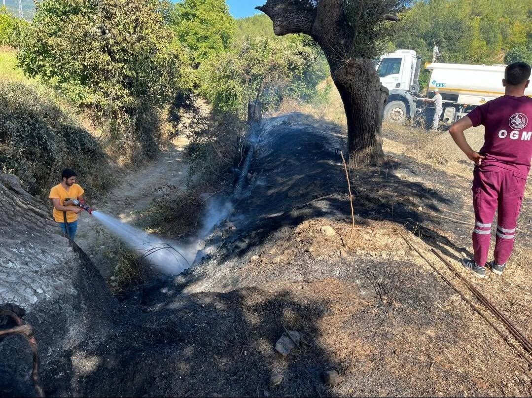 Kastamonu'da Çıkan Anız Yangınına Ekiplerden Hızlı Müdahale (3)
