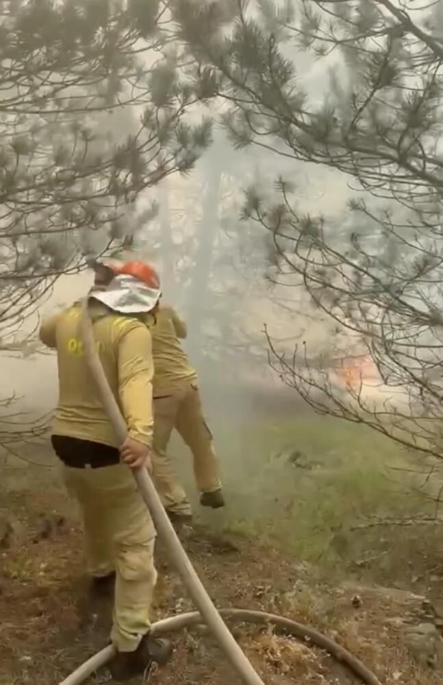 Kastamonu’da Korkutan Yangın Büyümden Söndürüldü