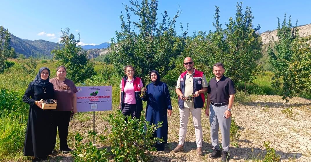 Kastamonu’nun Tarımın Yeni Yıldızı Aronya