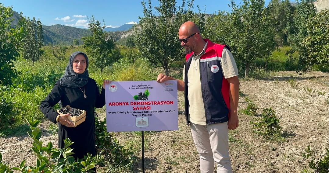 Kastamonu’nun Tarımın Yeni Yıldızı Aronya4